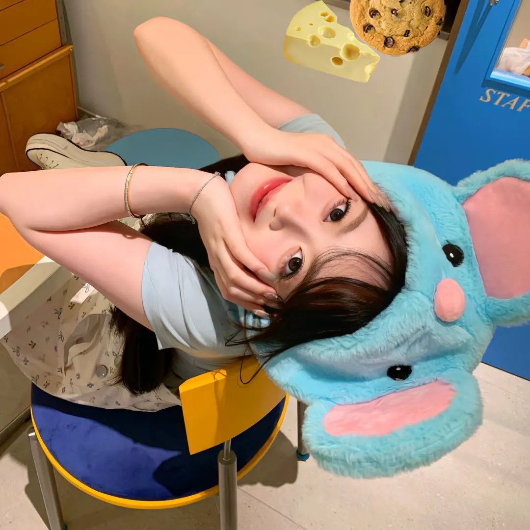 南方的愿望