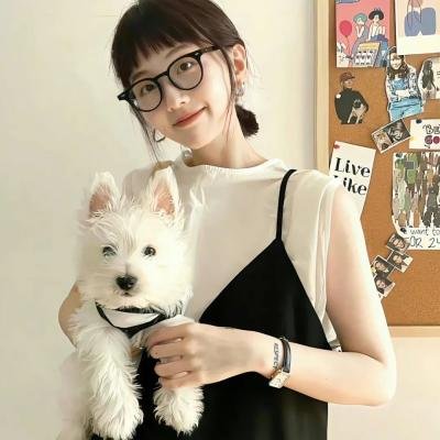 歌舞青春：巴西版