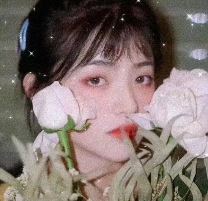 冒牌鹦鹉